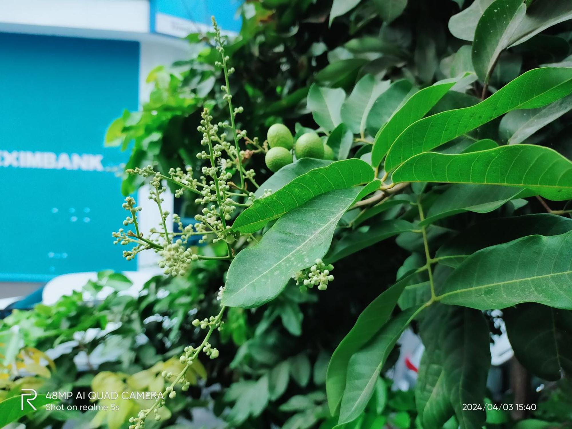 Appart hôtel Shusimi House & Boutique Near Tan Son Nhat Airport Hô Chi Minh-Ville